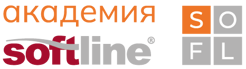 Академия Softline 2024-1