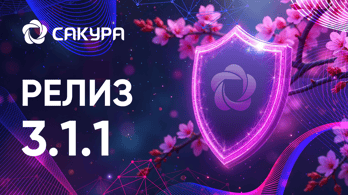 САКУРА_релиз 311
