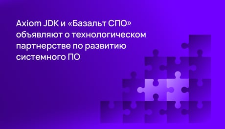 Axiom JDK Базальт СПО картинка