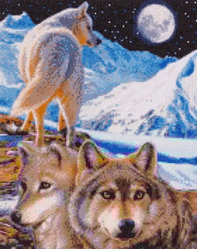 CAK-CH2_HIGH_RES_580x
