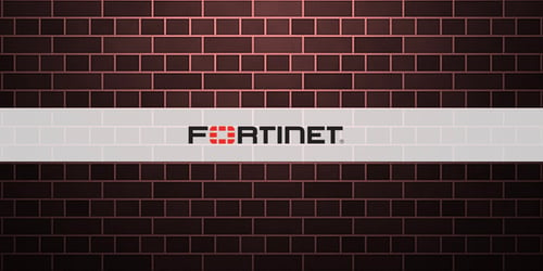 Fortinet2-2