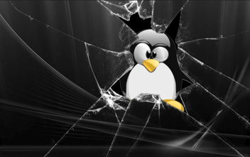Linux vulnerability2-4