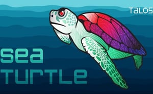 Sea Turtle