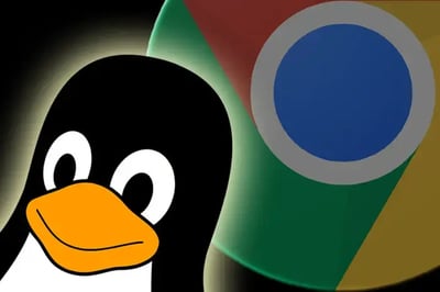 linux-apps-chrome-os-primary-100777159-large