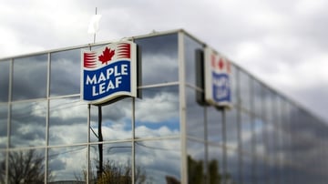 maple-leaf-foods-inc-signage-is-displayed-outside-of-the-company-s-processing-facility-in-the-photo-taken-with-a-tilt-shift-lens-in-toronto-ontario-canada-on-monday-oct-17-2011