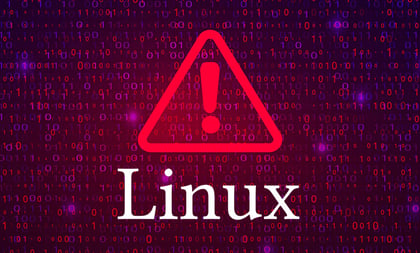 researchers-beware-10-year-old-linux-vulnerability-showcase_image-2-a-15877