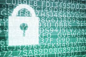 images - 2025-10-27T143654.554