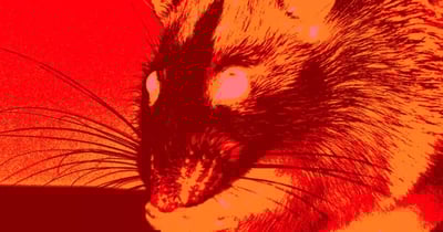 rat-ta505.png
