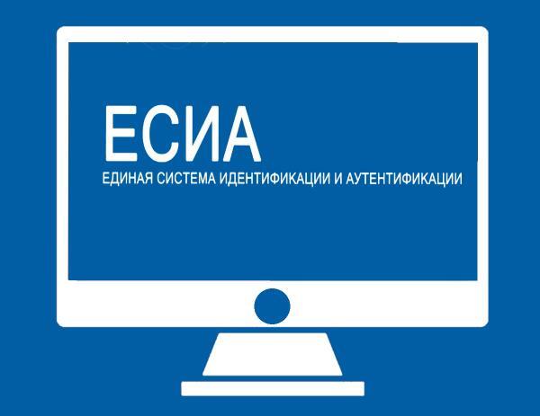Регистраторы доменов просят Минцифры отсрочить внедрение ЕСИА
