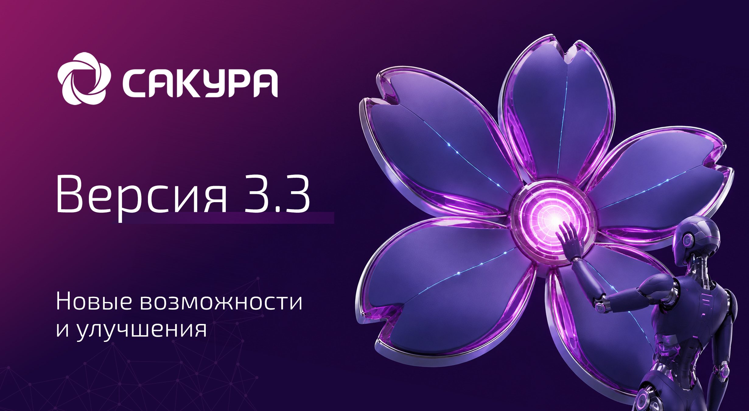САКУРА 3.3