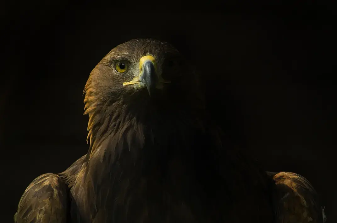 NightEagle атакует ведущие компании и учреждения Китая