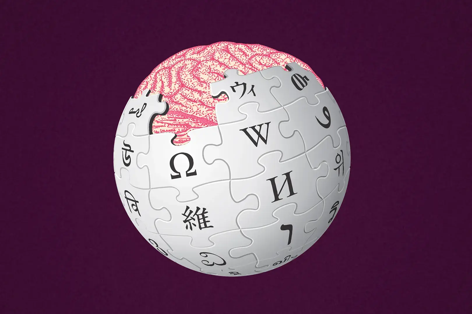 Сооснователь Wikipedia подтвердил наличие 