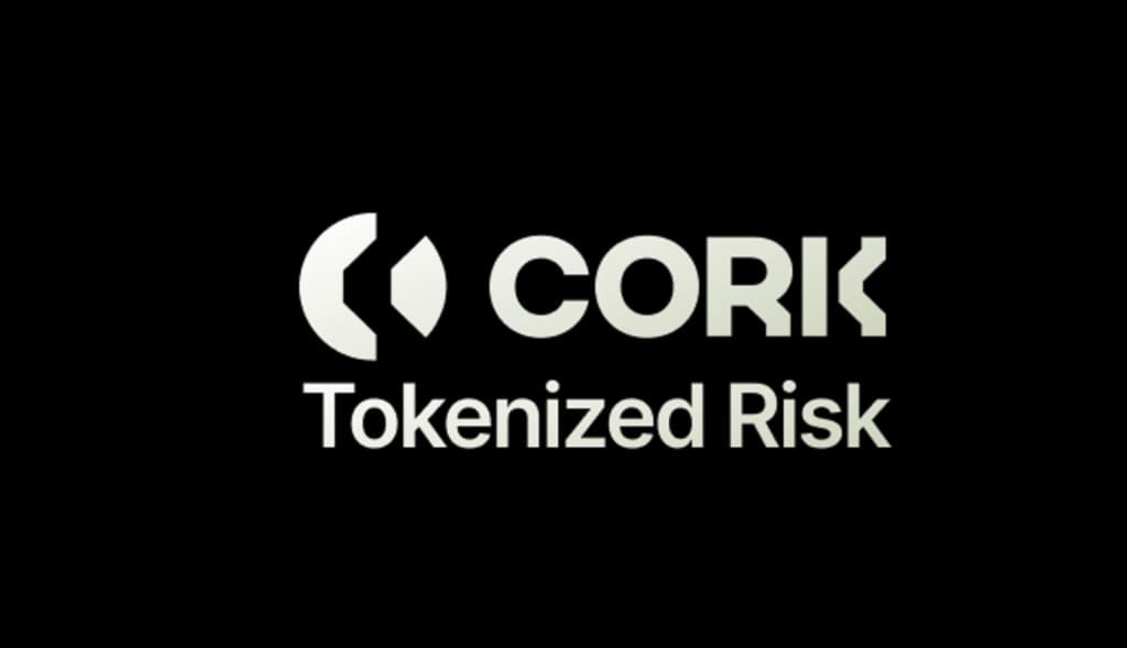 Хакеры украли более 12 миллионов долларов с DeFi-платформы Cork Protocol