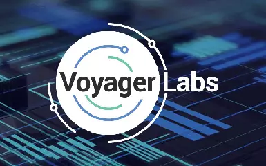 Полиция Нью-Йорка сотрудничает с компанией Voyager Labs для слежки за подозреваемыми