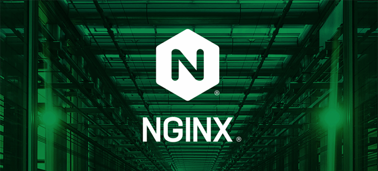 Разработчики изучают возможную уязвимость 0-day в NGINX