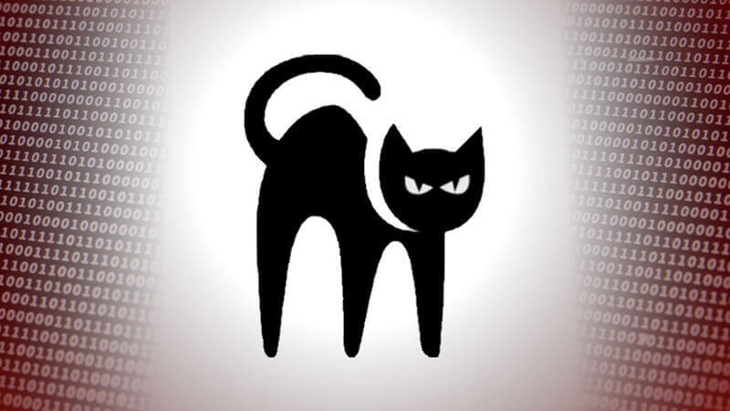 За 4 месяца вымогатели Black Cat взломали как минимум 60 организаций по всему миру