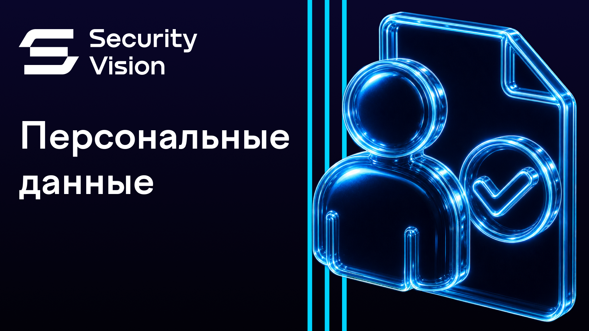 Секьюрити Вижн