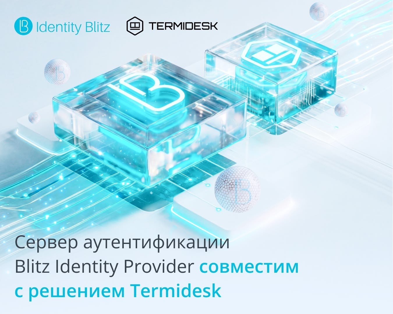 Blitz Identity Provider
