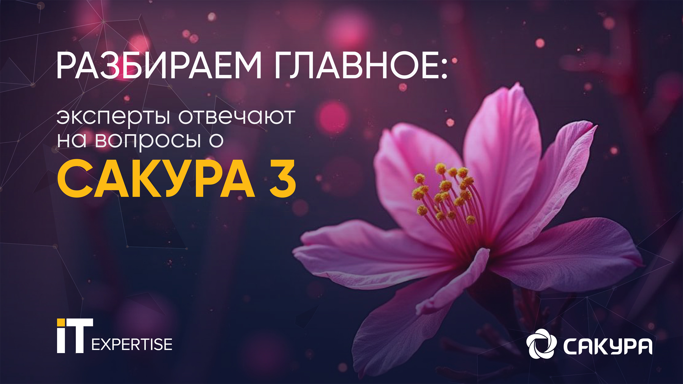 ИТ-Экспертиза представила новую версию системы на вебинаре «САКУРА 3: надежнее, функциональнее,эффективнее»