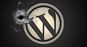 Обнаружен особо искусный неудалямый вредоносный плагин для Wordpress